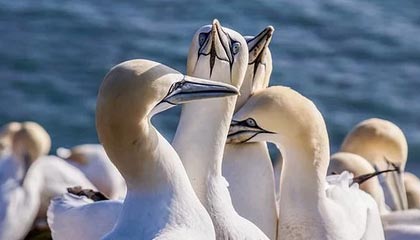 hth华体育官网-kaiyun：云端之旅的全新开启