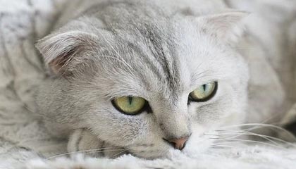 华体会在线登录-乐鱼电竞官方网——开启电竞新时代的官方之门